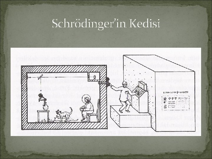 Schrödinger’in Kedisi Schrödinger’in Kedisi