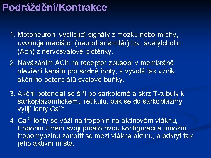 Podráždění/Kontrakce 1. Motoneuron, vysílající signály z mozku nebo míchy, uvolňuje mediátor (neurotransmitér) tzv. acetylcholin