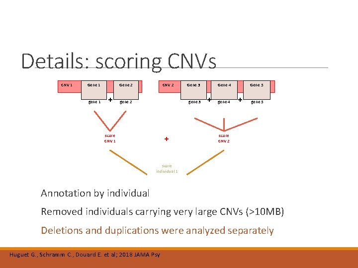 Details: scoring CNVs CNV 1 Gene 1 score gene 1 Gene 2 + CNV