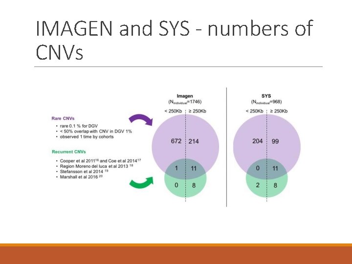 IMAGEN and SYS - numbers of CNVs 