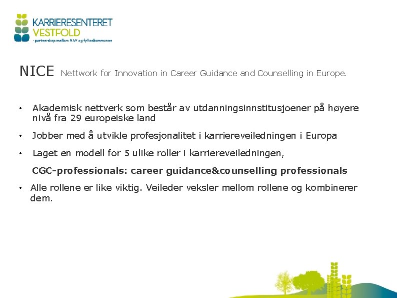 NICE Nettwork for Innovation in Career Guidance and Counselling in Europe. • Akademisk nettverk