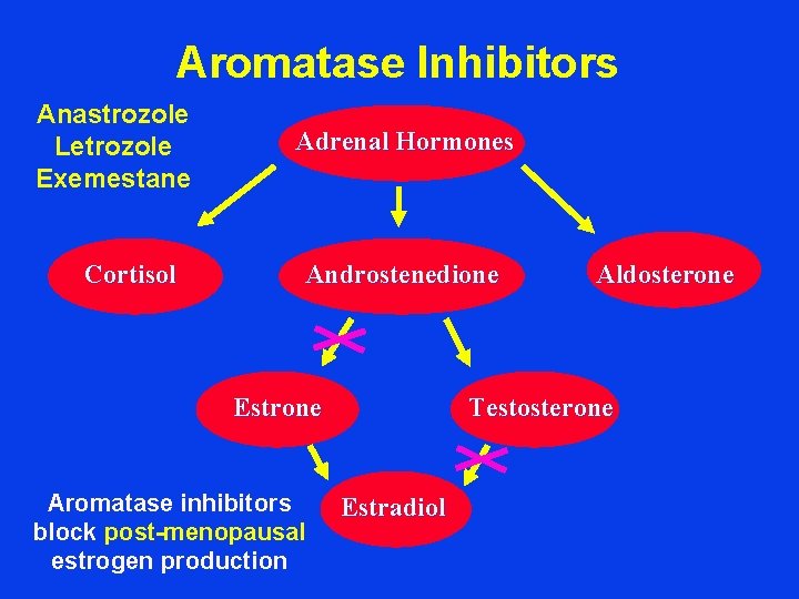 Aromatase Inhibitors Anastrozole Letrozole Exemestane Cortisol Adrenal Hormones Androstenedione Estrone Aromatase inhibitors block post-menopausal
