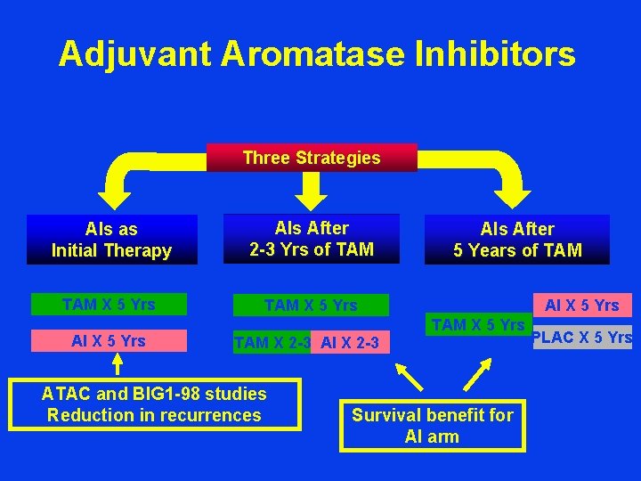 Adjuvant Aromatase Inhibitors Three Strategies AIs as Initial Therapy AIs After 2 -3 Yrs