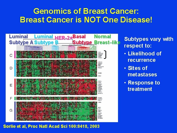 Genomics of Breast Cancer: Breast Cancer is NOT One Disease! Luminal HER-2+Basal Normal Subtypes