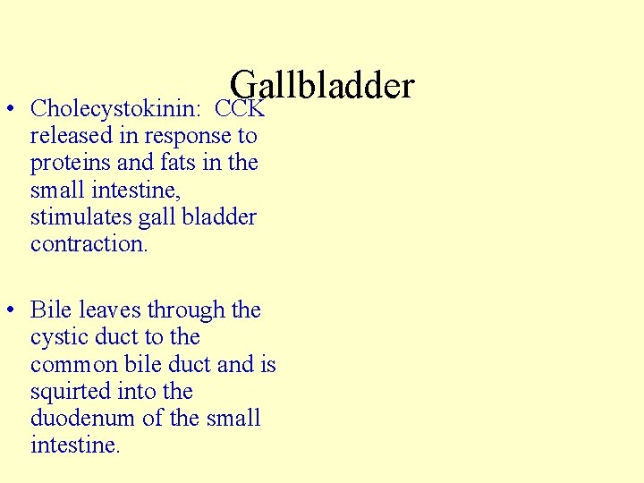 Gallbladder CCK • Cholecystokinin: released in response to proteins and fats in the small