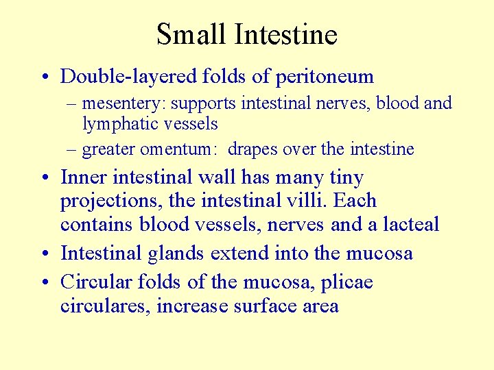 Small Intestine • Double-layered folds of peritoneum – mesentery: supports intestinal nerves, blood and