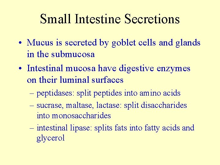 Small Intestine Secretions • Mucus is secreted by goblet cells and glands in the