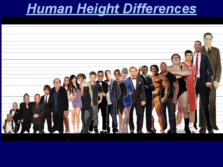 Human Height Differences 