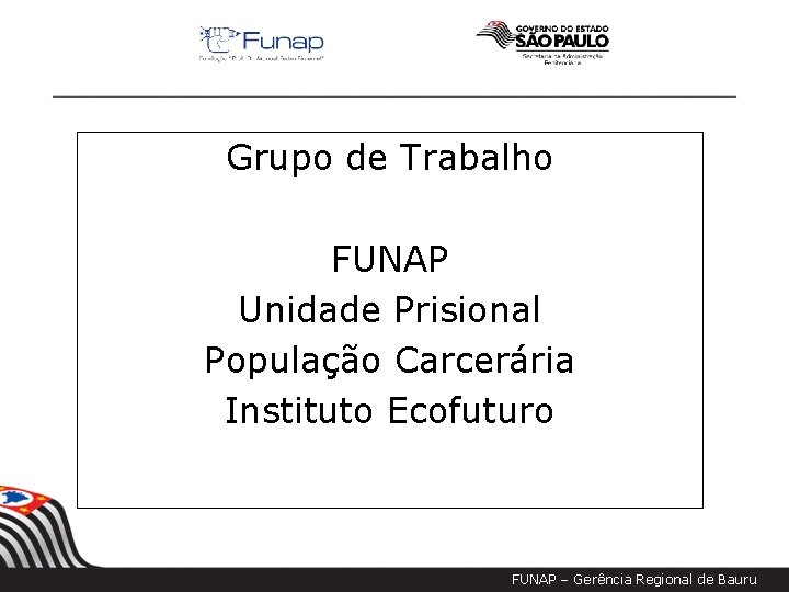 Grupo de Trabalho FUNAP Unidade Prisional População Carcerária Instituto Ecofuturo FUNAP – Gerência Regional