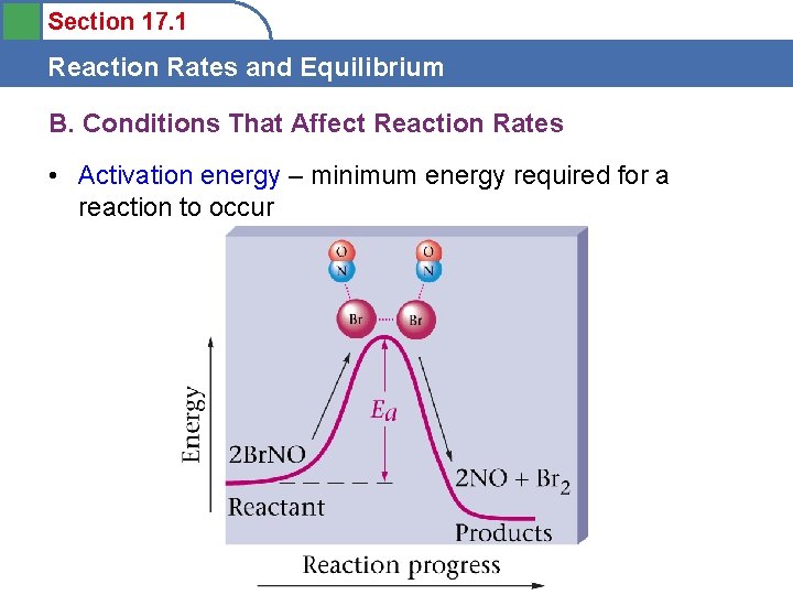 Section 17 1 Reaction Rates and Equilibrium Objectives