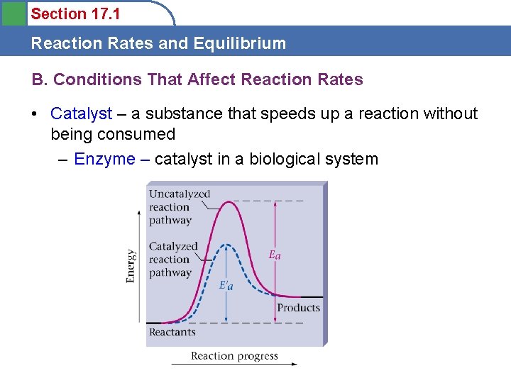 Section 17. 1 Reaction Rates and Equilibrium B. Conditions That Affect Reaction Rates •