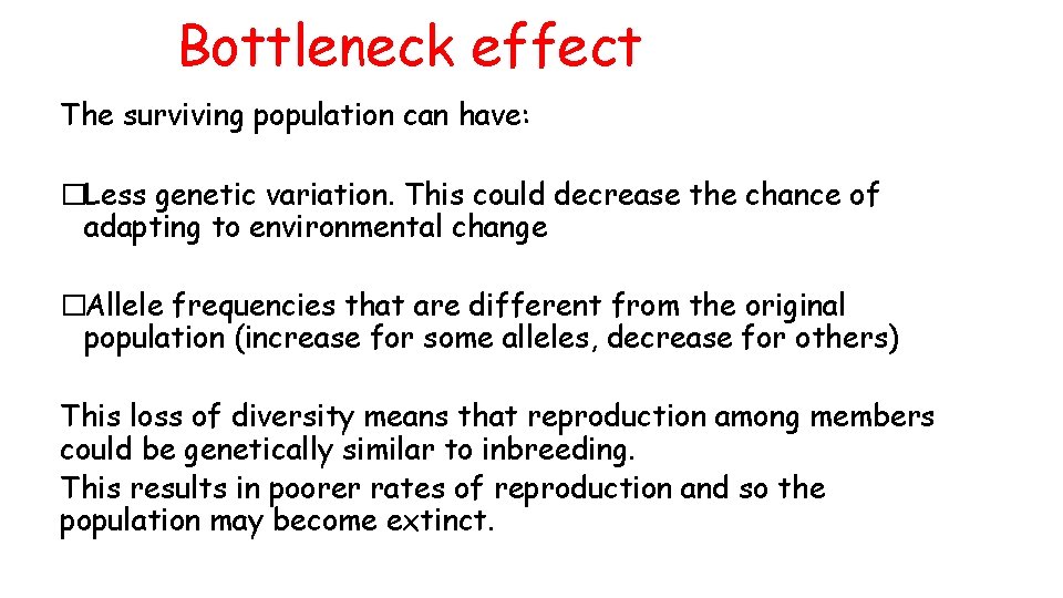 Bottleneck effect The surviving population can have: �Less genetic variation. This could decrease the
