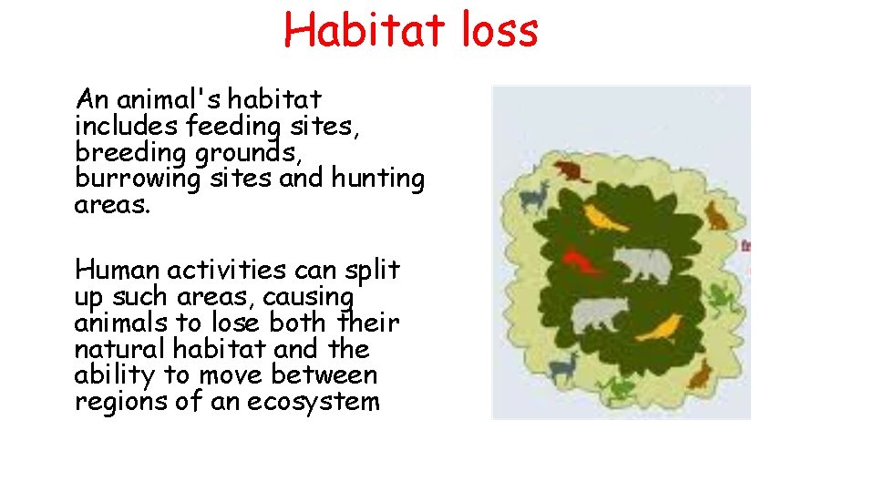 Habitat loss An animal's habitat includes feeding sites, breeding grounds, burrowing sites and hunting