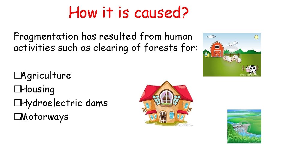 How it is caused? Fragmentation has resulted from human activities such as clearing of