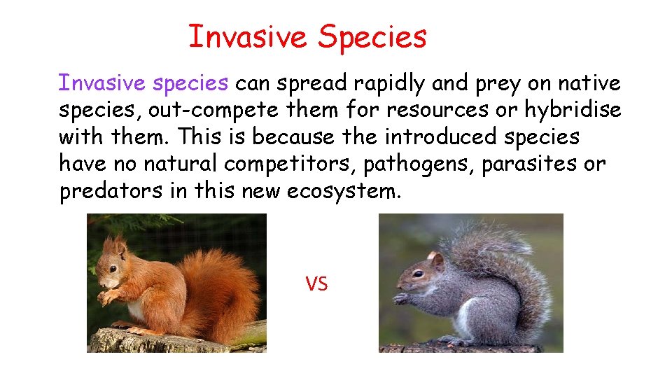 Invasive Species Invasive species can spread rapidly and prey on native species, out-compete them