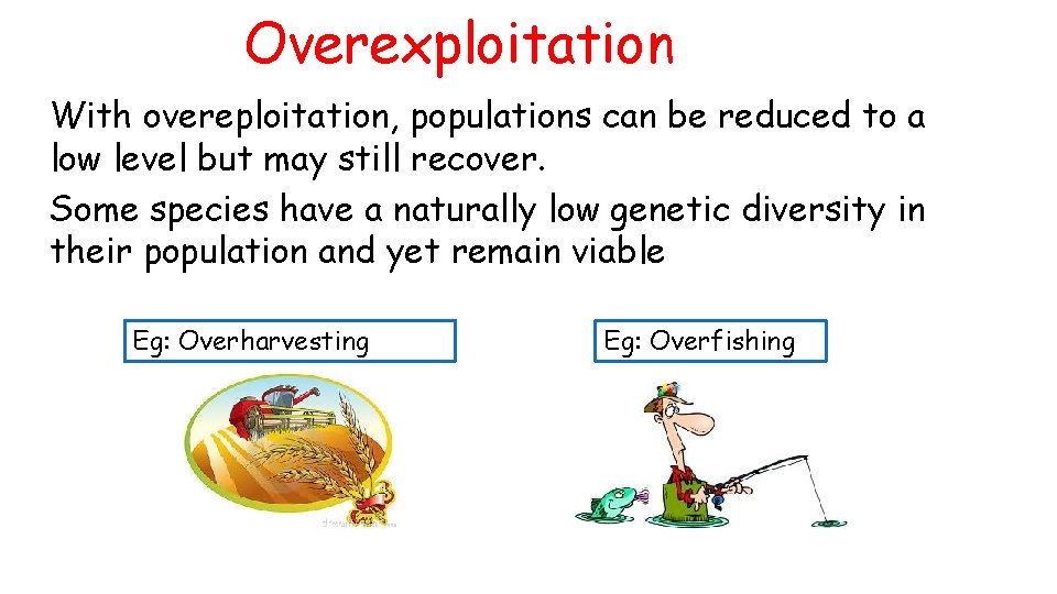 Overexploitation With overeploitation, populations can be reduced to a low level but may still