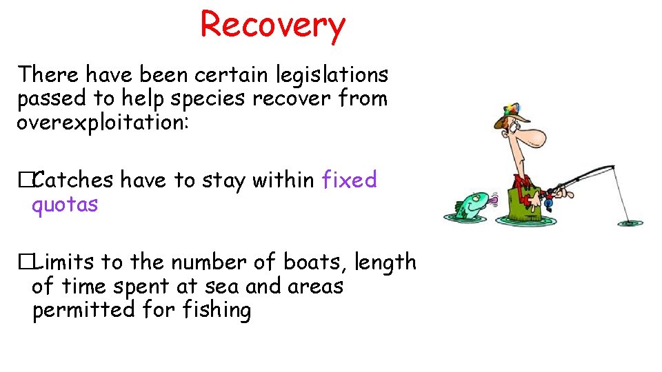 Recovery There have been certain legislations passed to help species recover from overexploitation: �Catches