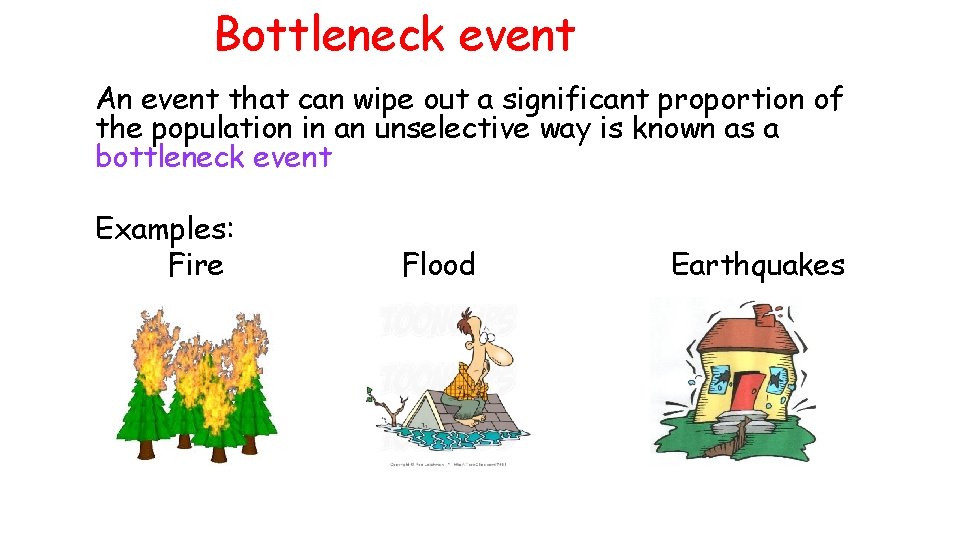 Bottleneck event An event that can wipe out a significant proportion of the population