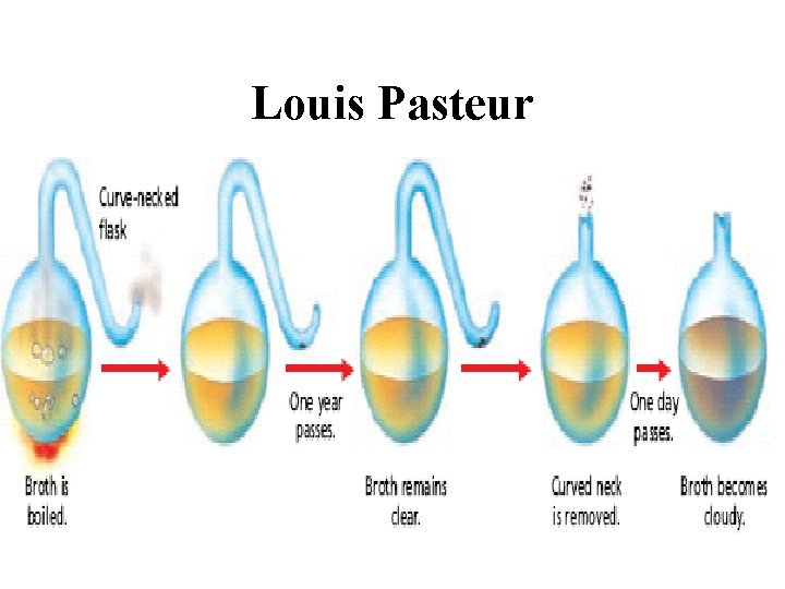 Louis Pasteur 