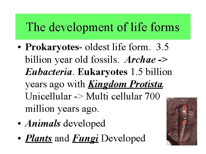 The development of life forms • Prokaryotes- oldest life form. 3. 5 billion year