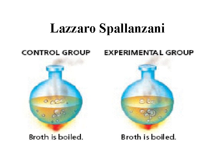 Lazzaro Spallanzani 