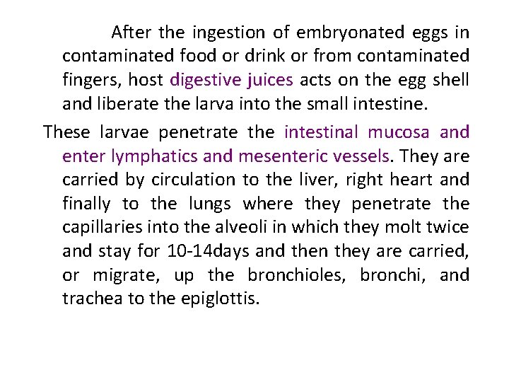  After the ingestion of embryonated eggs in contaminated food or drink or from
