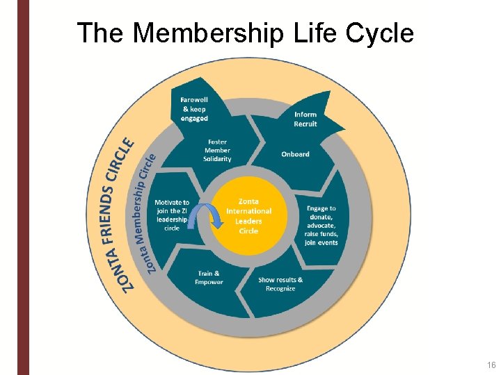 The Membership Life Cycle 16 