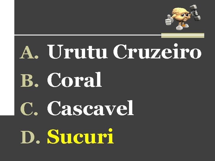 A. Urutu Cruzeiro B. Coral C. Cascavel D. Sucuri A. Urutu Cruzeiro B. Coral C. Cascavel D. Sucuri