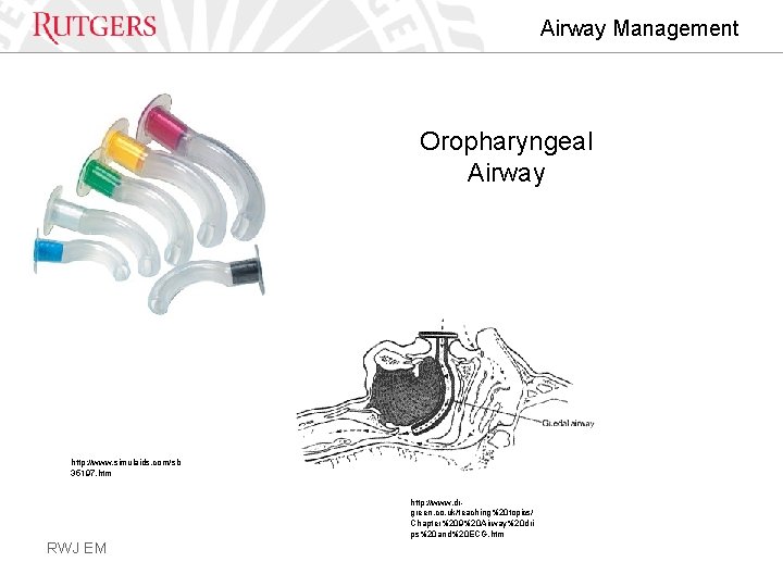 Airway Management Oropharyngeal Airway http: //www. simulaids. com/sb 35197. htm http: //www. drgreen. co.