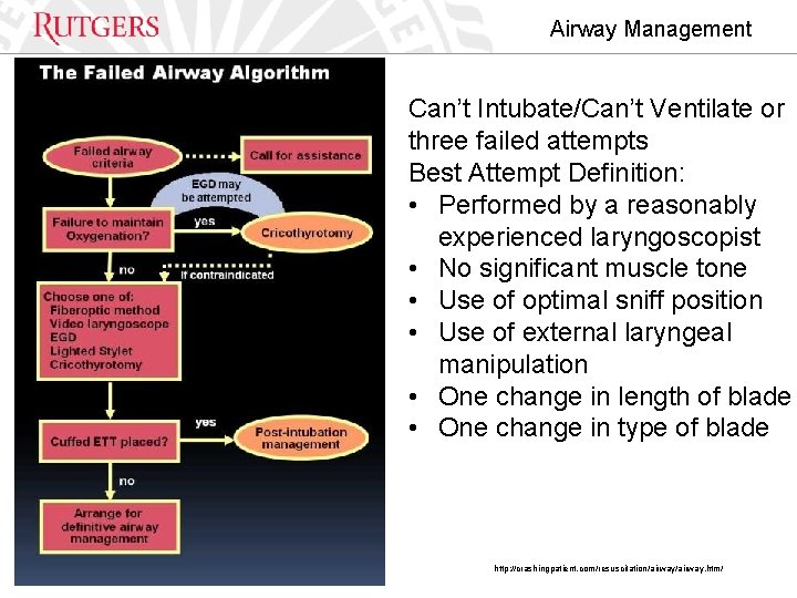 Airway Management Can’t Intubate/Can’t Ventilate or three failed attempts Best Attempt Definition: • Performed