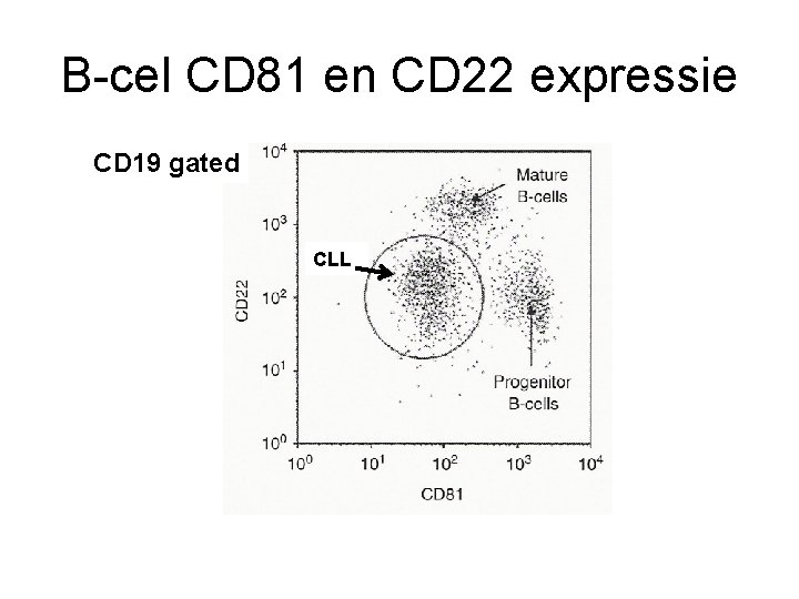 B-cel CD 81 en CD 22 expressie CD 19 gated CLL 