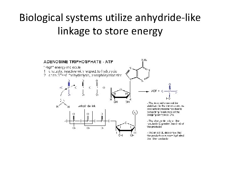 Biological systems utilize anhydride-like linkage to store energy 