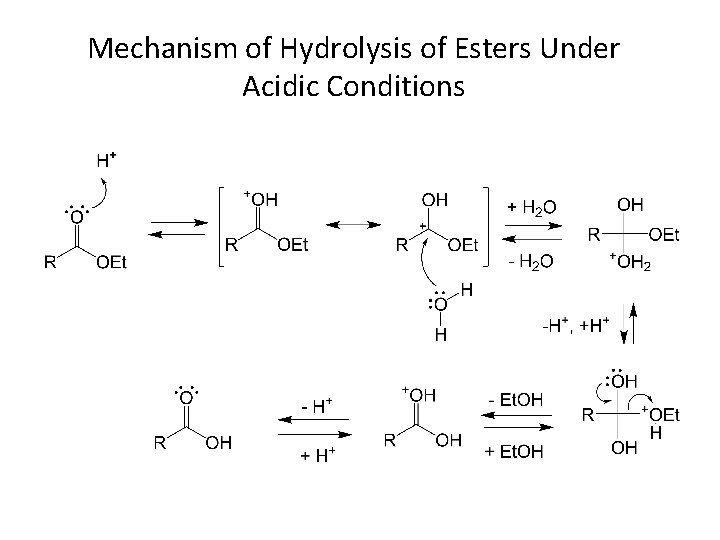 Mechanism of Hydrolysis of Esters Under Acidic Conditions 