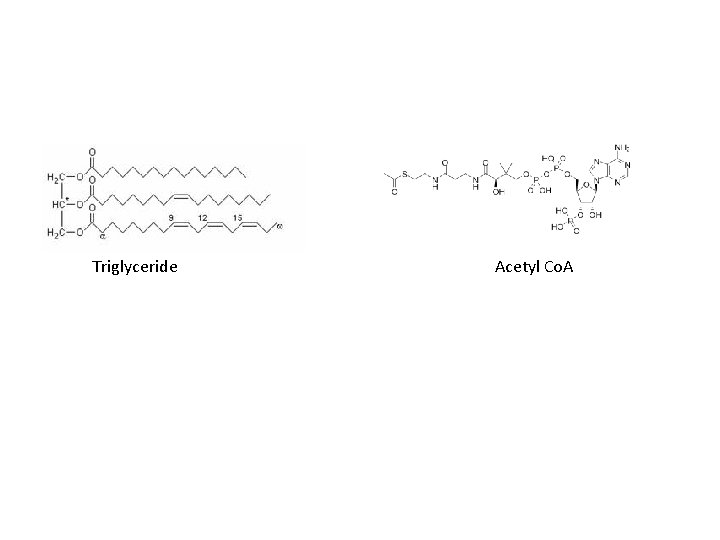 Triglyceride Acetyl Co. A 