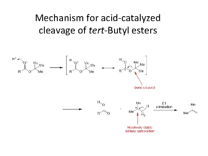 Mechanism for acid-catalyzed cleavage of tert-Butyl esters 