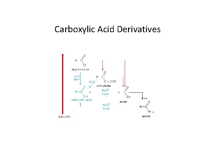 Carboxylic Acid Derivatives 