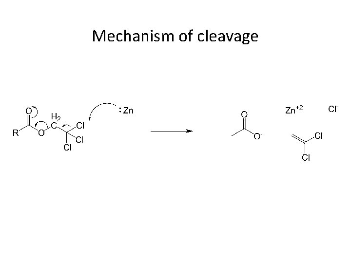 Mechanism of cleavage 