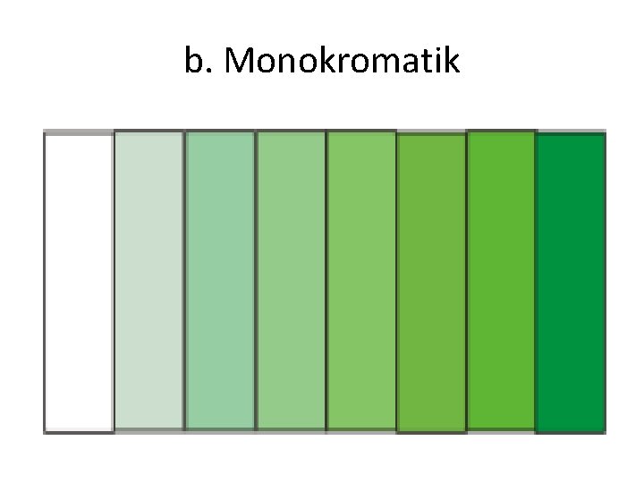 b. Monokromatik 
