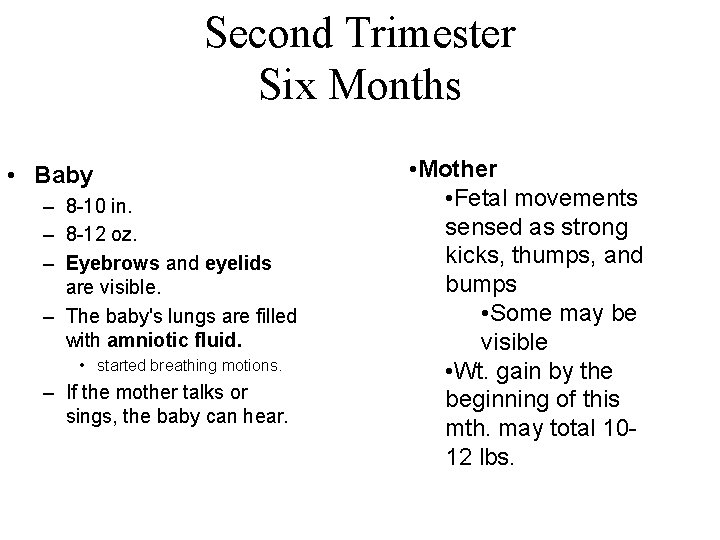 Second Trimester Six Months • Baby – 8 -10 in. – 8 -12 oz.