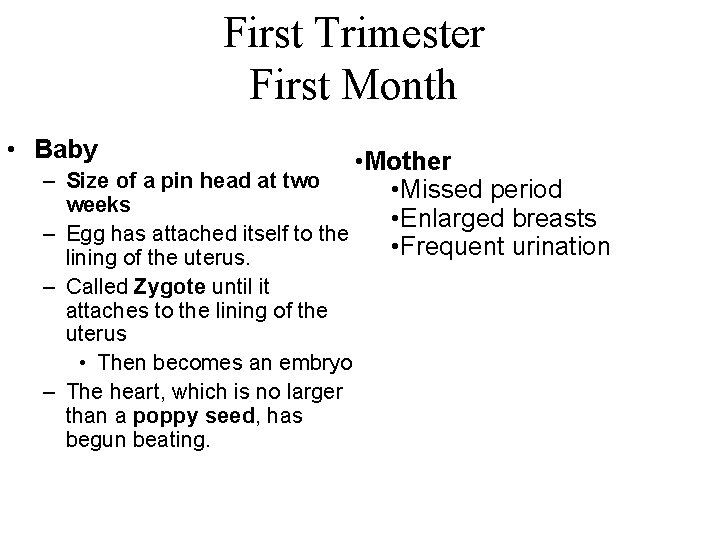 First Trimester First Month • Baby • Mother – Size of a pin head
