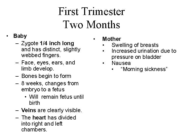 First Trimester Two Months • Baby – Zygote 1/4 inch long and has distinct,