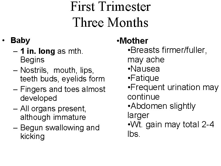 First Trimester Three Months • Baby – 1 in. long as mth. Begins –