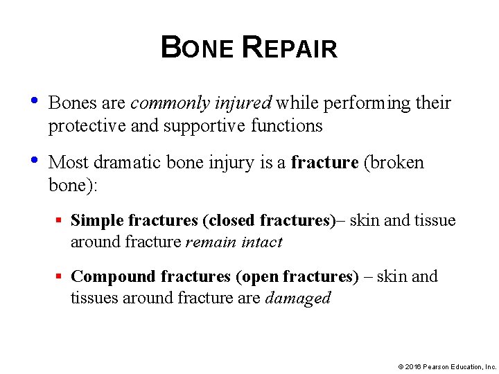 BONE REPAIR • Bones are commonly injured while performing their protective and supportive functions