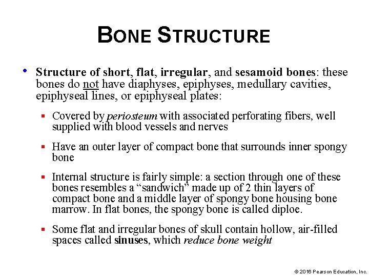 BONE STRUCTURE • Structure of short, flat, irregular, and sesamoid bones: these bones do