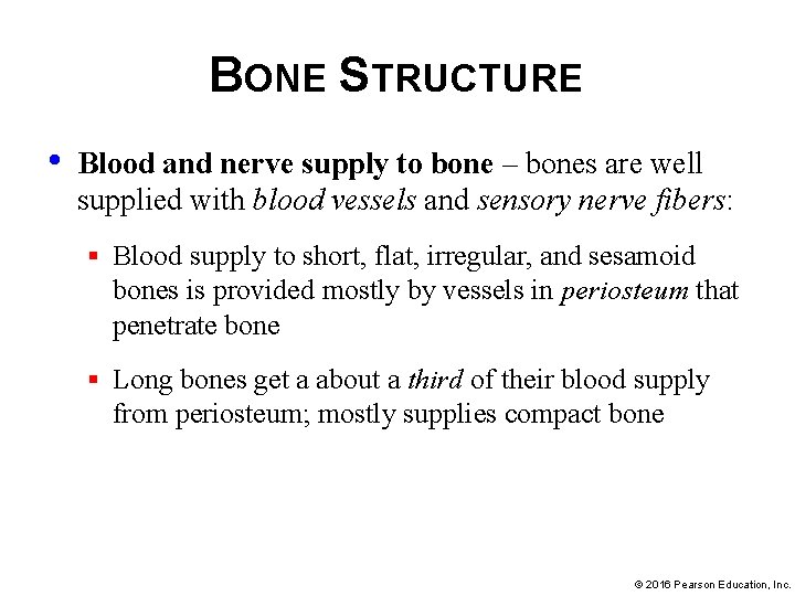 BONE STRUCTURE • Blood and nerve supply to bone – bones are well supplied