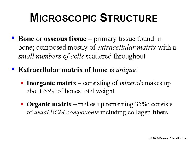 MICROSCOPIC STRUCTURE • Bone or osseous tissue – primary tissue found in bone; composed