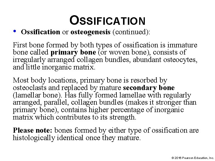  • OSSIFICATION Ossification or osteogenesis (continued): First bone formed by both types of
