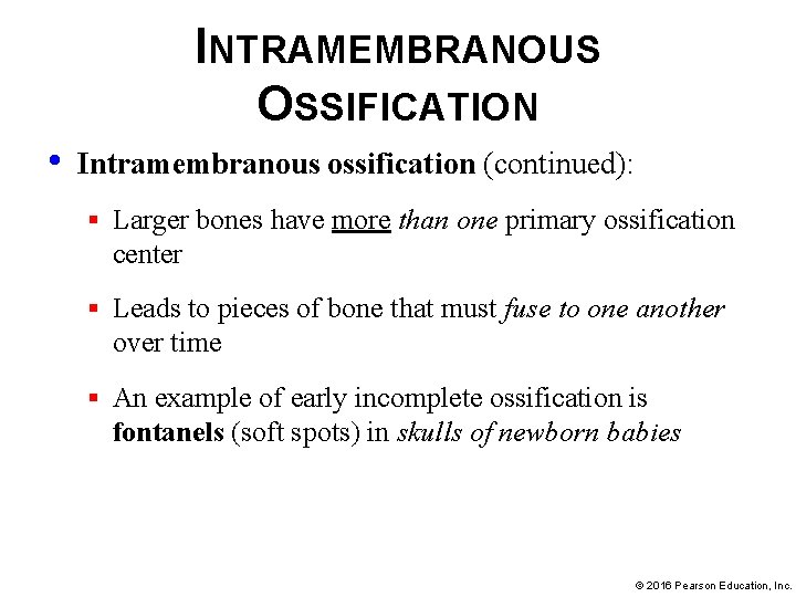 INTRAMEMBRANOUS OSSIFICATION • Intramembranous ossification (continued): § Larger bones have more than one primary