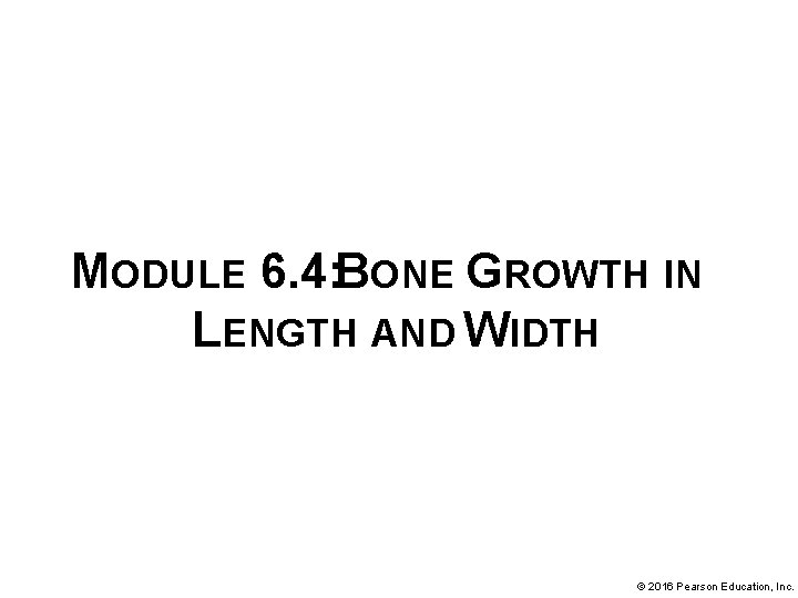 MODULE 6. 4: BONE GROWTH IN LENGTH AND WIDTH © 2016 Pearson Education, Inc.