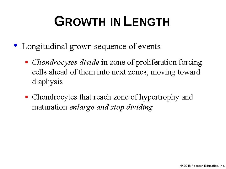 GROWTH IN LENGTH • Longitudinal grown sequence of events: § Chondrocytes divide in zone